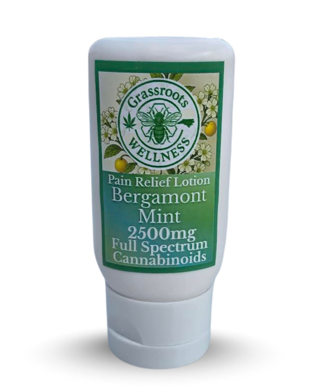 3000mg Paint & Relief Lotion