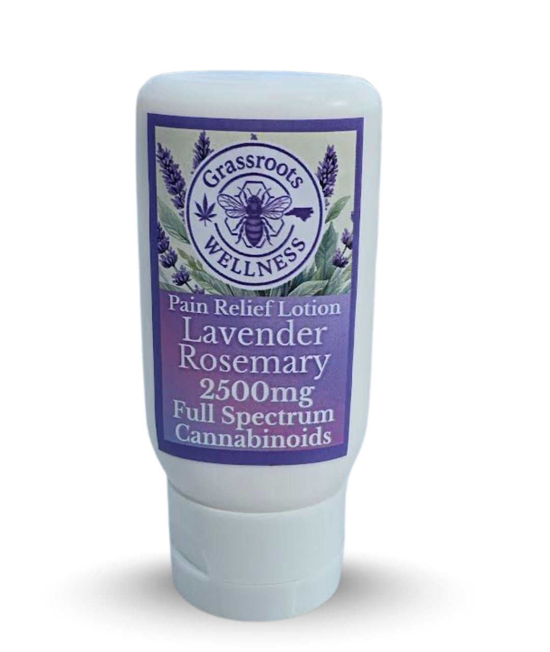 3000mg Paint & Relief Lotion