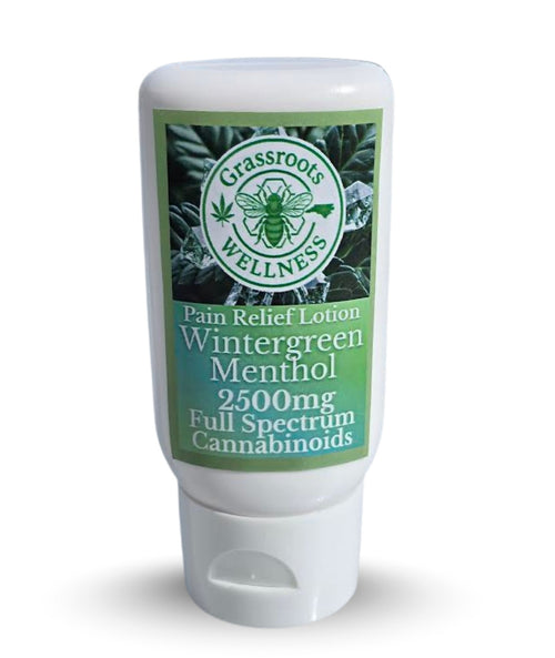 3000mg Paint & Relief Lotion